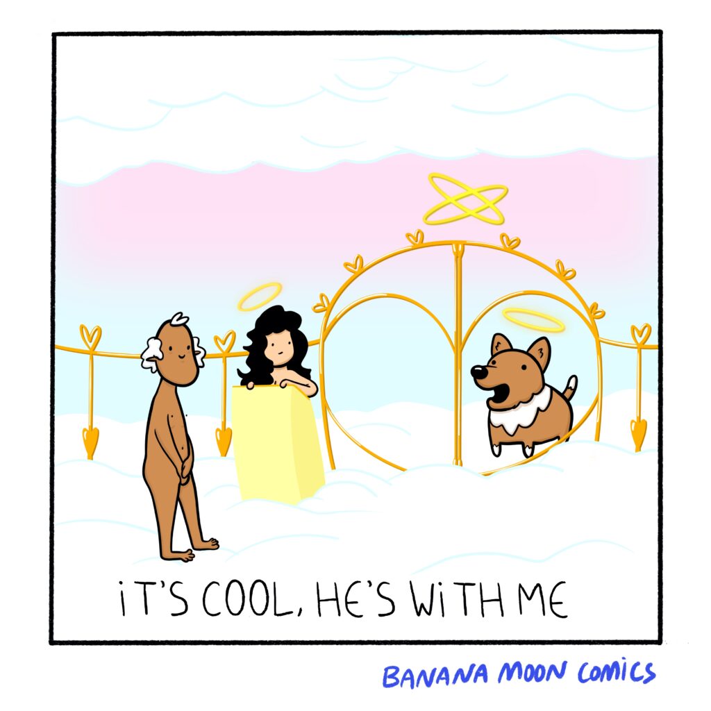A man at the gates of heaven waits to be let in by the bouncer. Luckily, his past dog says "It's cool he's with me"