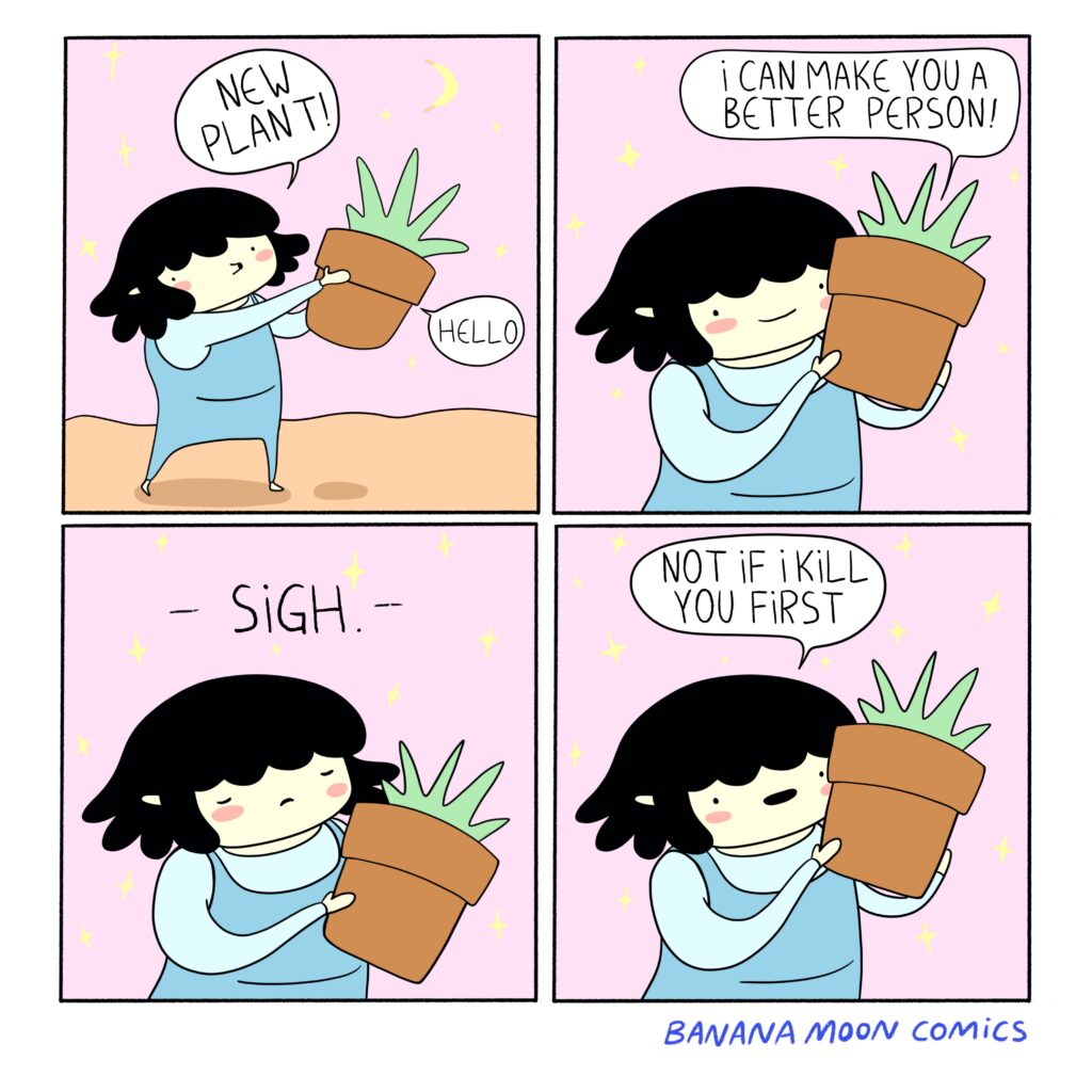 Andi gets a new plant. The plants wants to make her a better person. Andi says, "Not if I kill you first"